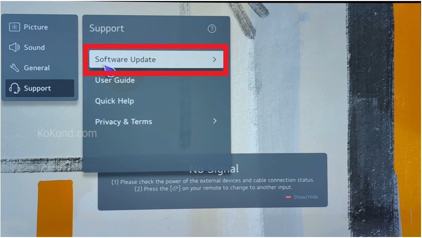 Select LG Software Update