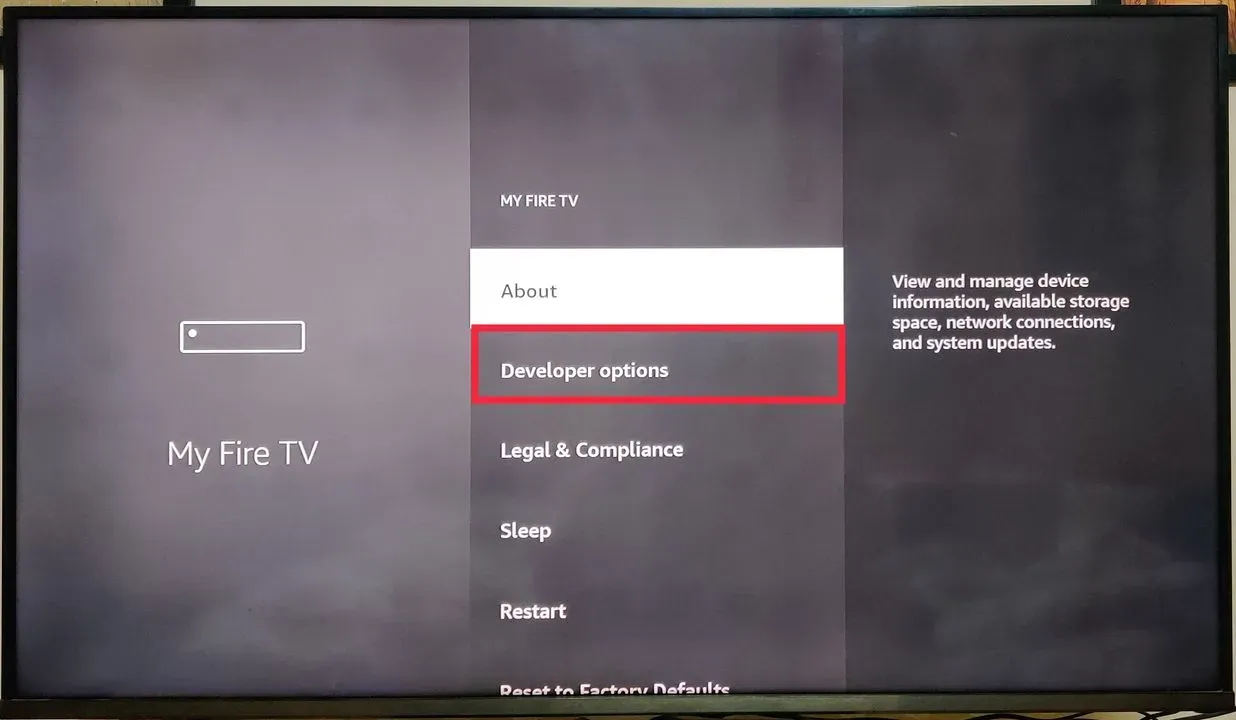 Image showing Developer option selection