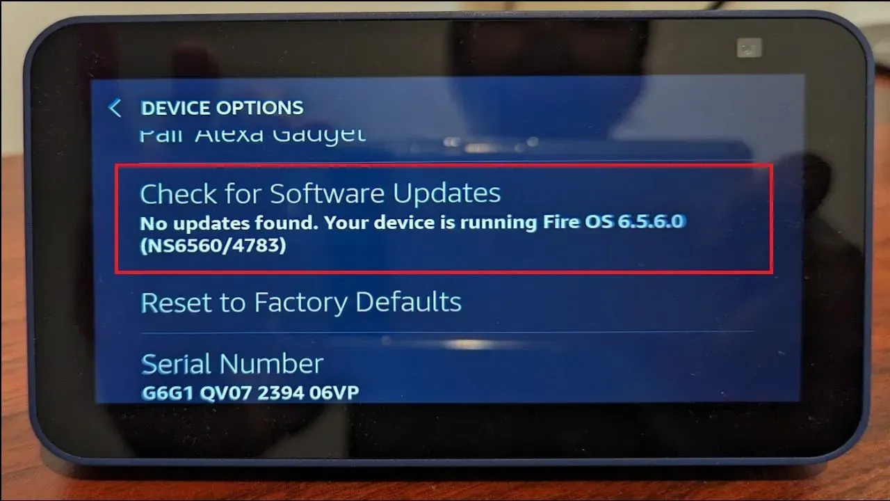 Check for Software Updates for Screen Flickering on Echo Show