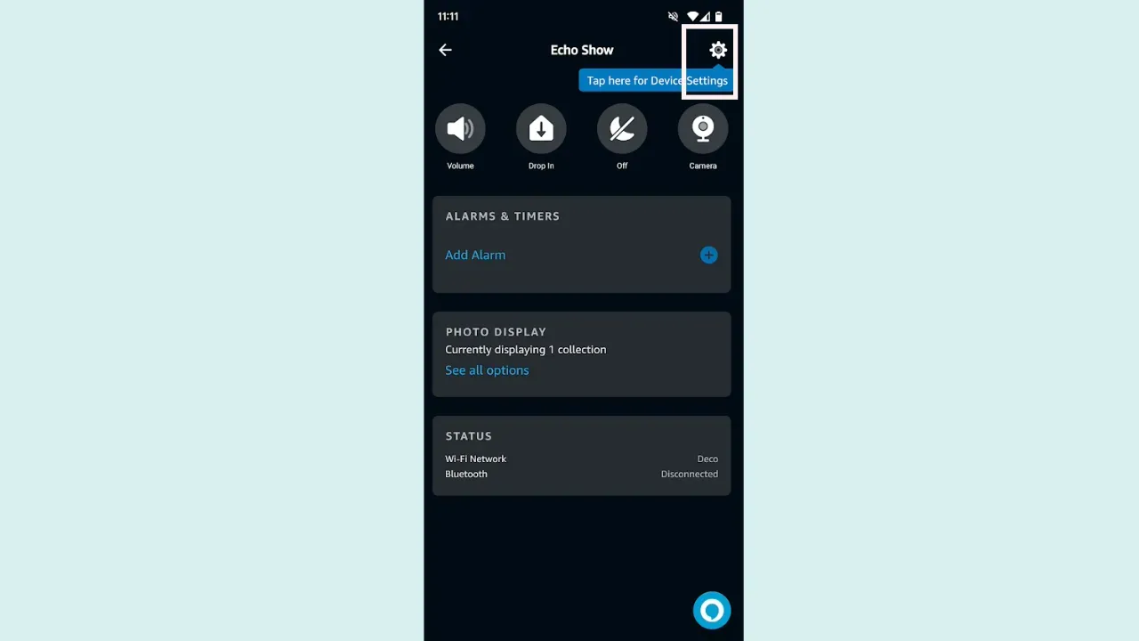 Tap on Gear Icon on your alexa App